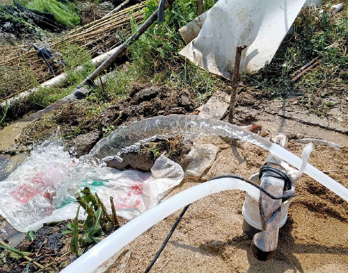启东鱼塘边打井
