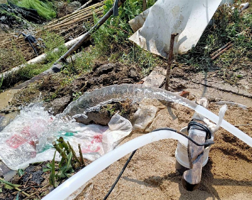 启东果园种树打井