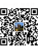 �����ֵ��ܶ��ƿ�ͨIP�������̳��ڼ����⹫԰���Ͷ��ﾰ�۵���